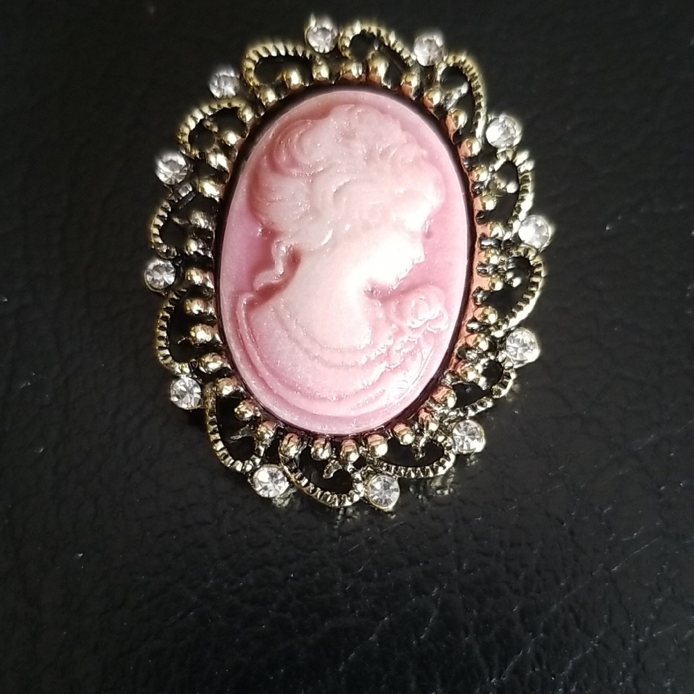 Elegant Pink Cameo Brooch Costume jewelry